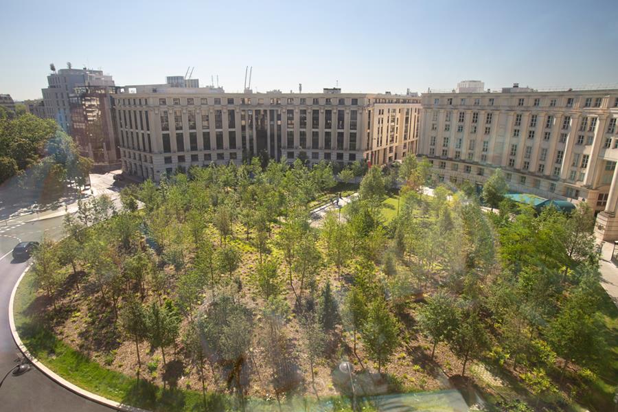 Une forêt urbaine pousse à Paris