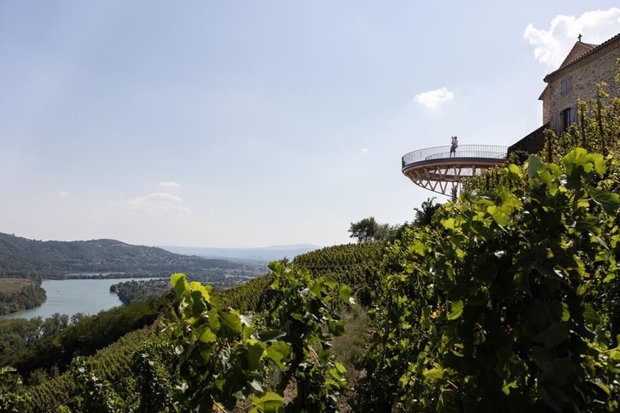 Belvédère scénographique sur les coteaux de Côte-Rôties