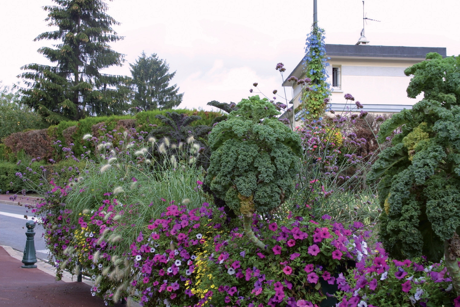 Choix des plantes et compositions en fleurissement aérien