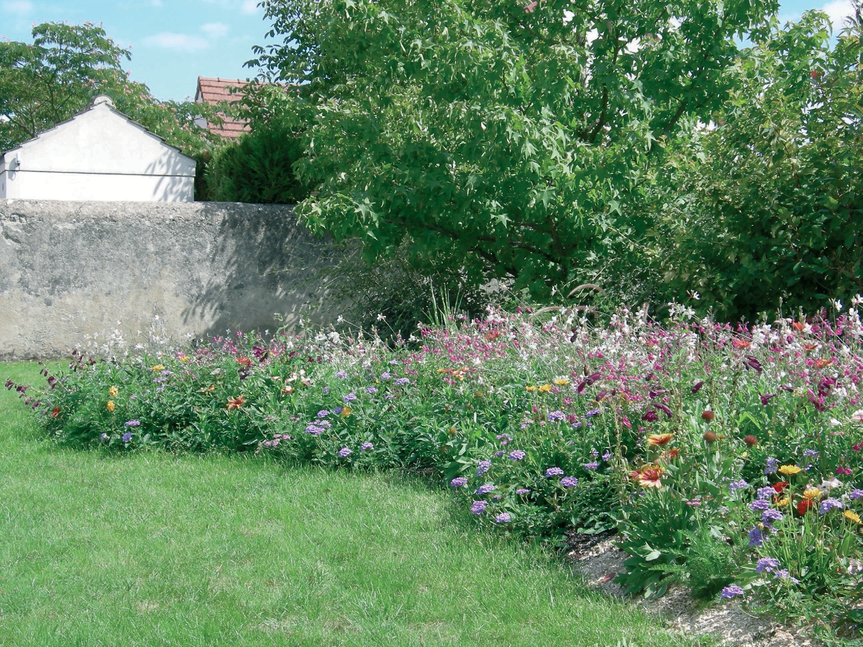 Fleurir autrement avec les plantes vivaces