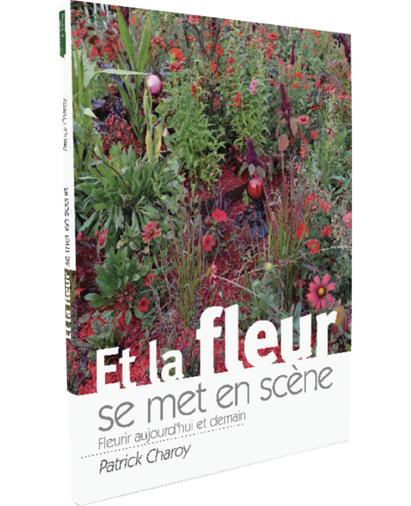 Et la fleur se met en scène