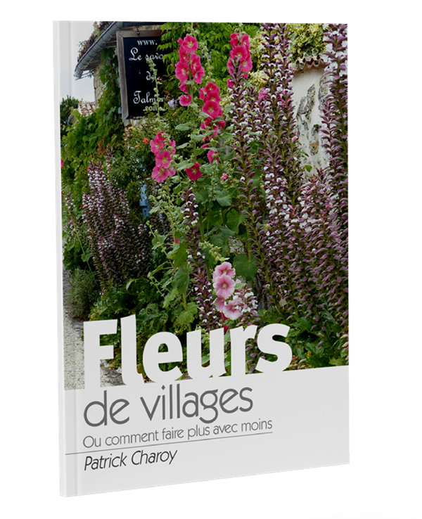 Fleurs de villages