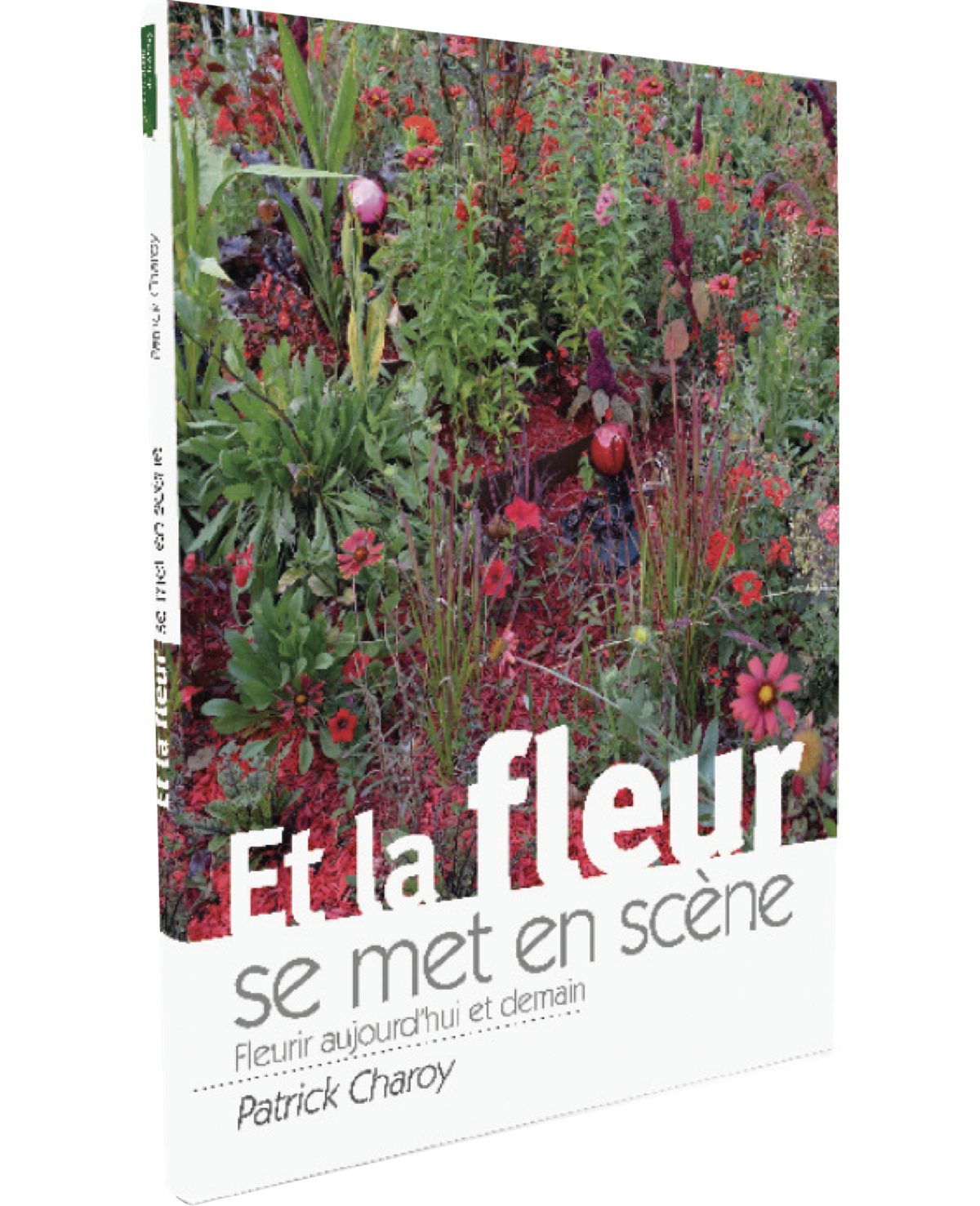 Et la fleur se met en scène - Picture 1